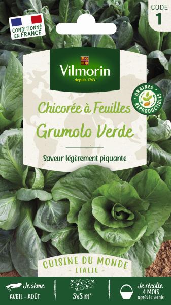 Potagères - Chicorée à Feuilles Grumolo Verde - Cuisine du Monde - PACKAGING_RECTO